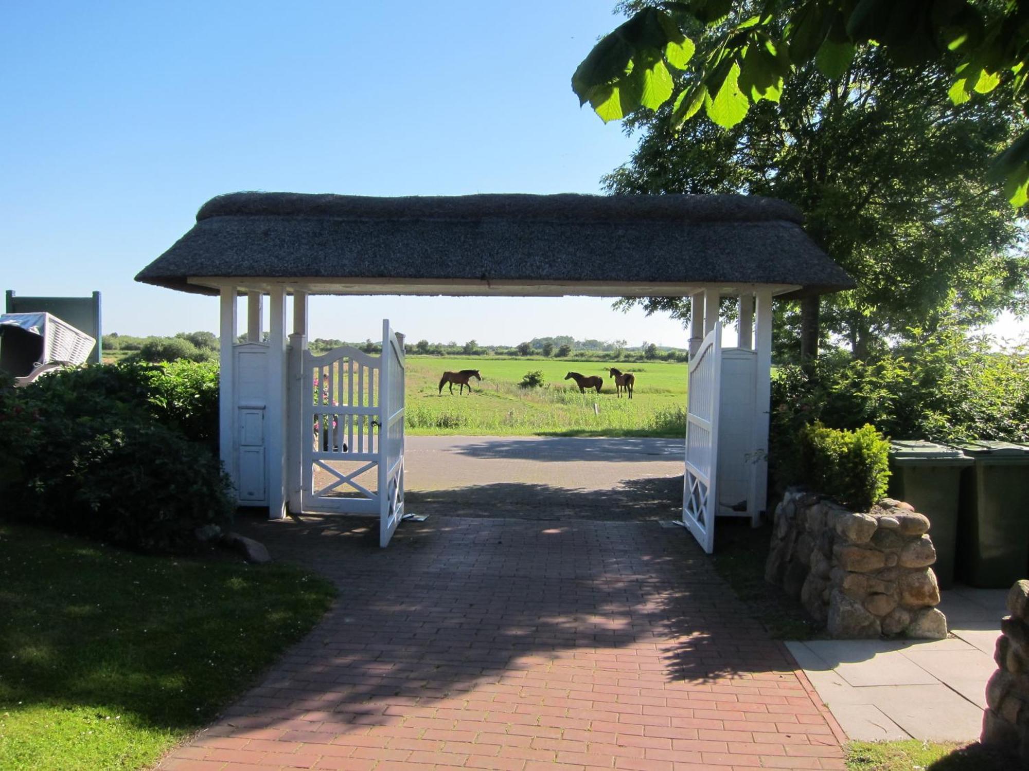 Nordseekrabbe 12 Herrenhof Wrixum Екстериор снимка
